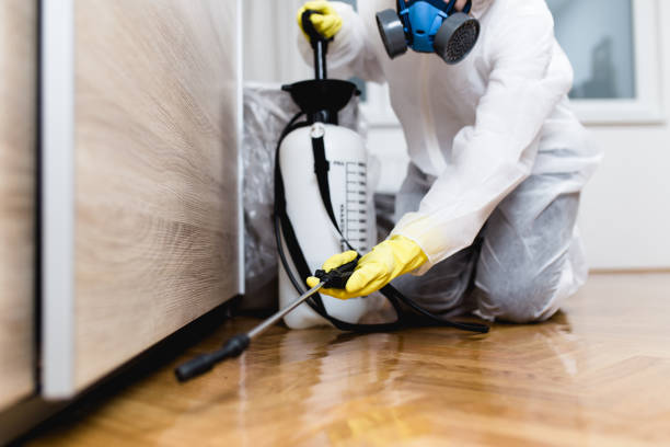 Professional Pest Control in Parkersburg, IA