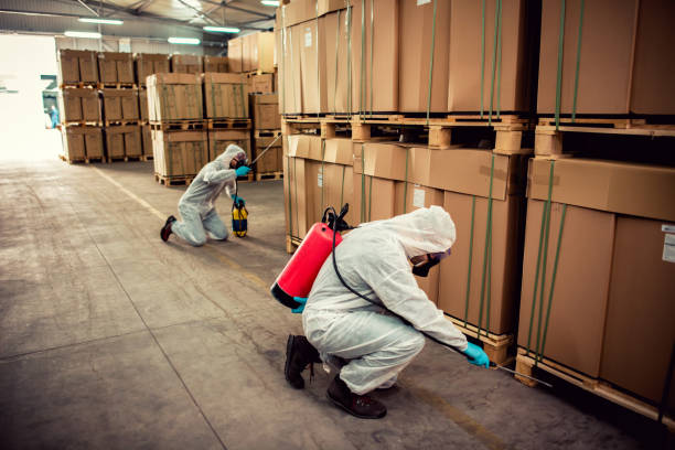 Wasp Removal Services in Parkersburg, IA