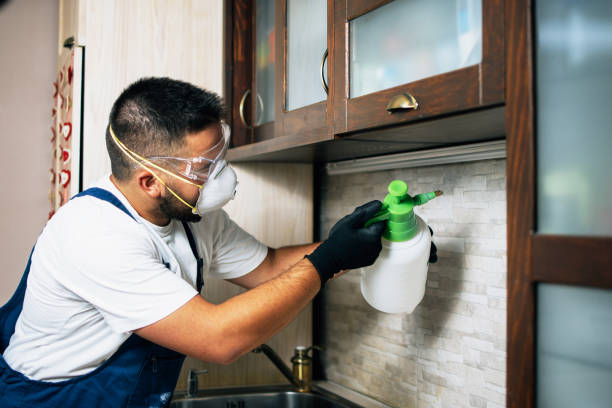 Best Wildlife Control Services  in Parkersburg, IA