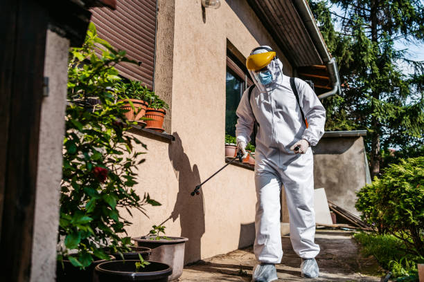 Best Termite Control Services  in Parkersburg, IA