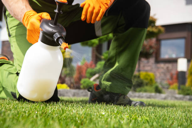 Best Insect Control  in Parkersburg, IA