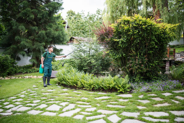 Best Pest Control Near Me  in Parkersburg, IA