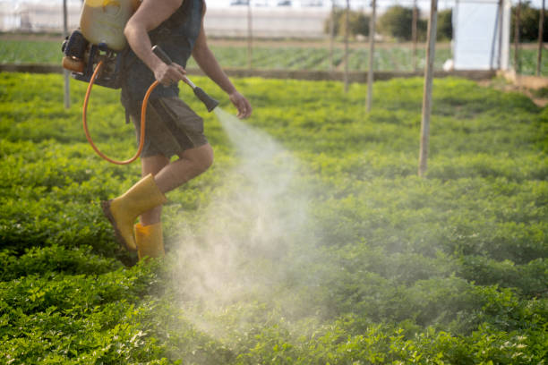 Best Residential Pest Control  in Parkersburg, IA