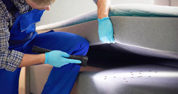 Best Best Pest Control Companies  in Parkersburg, IA
