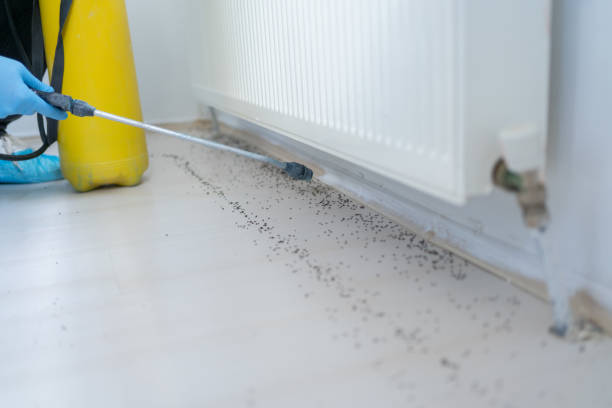 Best Cockroach Control Services  in Parkersburg, IA