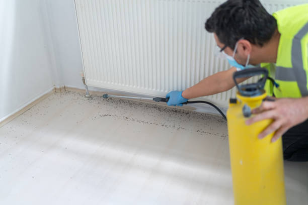 Best Bed Bug Extermination  in Parkersburg, IA