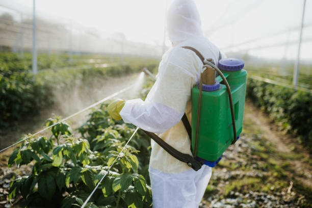 Best Mosquito Control Services  in Parkersburg, IA